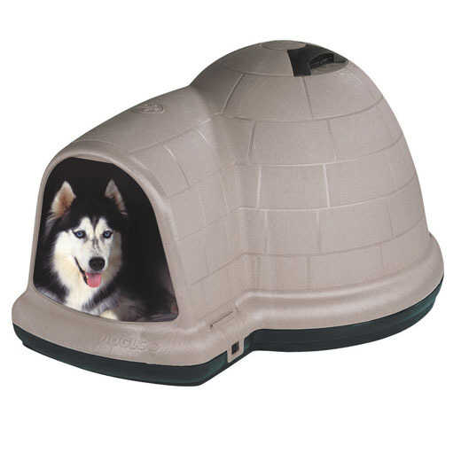 Dog Houses & Accessories