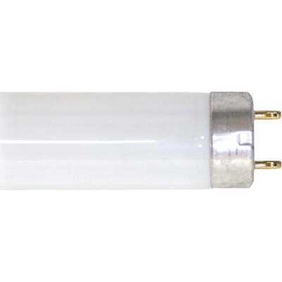Philips ALTO 30W 36 In. Cool White T8 Medium Bi-Pin Fluorescent Tube Light Bulb